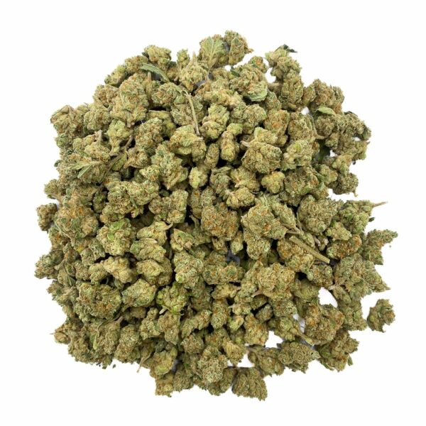 Orange Sherbet – Small Bud Hydro