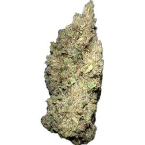 Ghost Confidential
