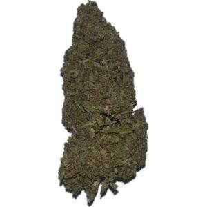 Purple Citrus